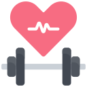 Fitness and Wellness